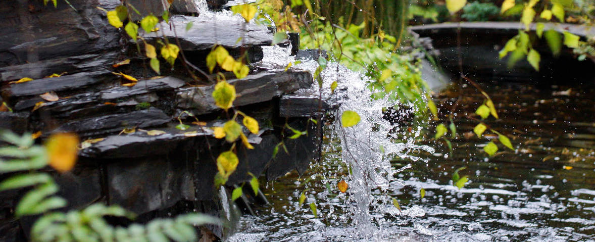 Baugenehmigung für einen Gartenteich