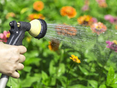 Bewässerung mit Wasserschlauch