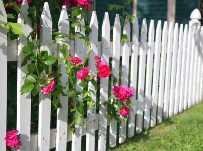 Gartenzaun mit Blumen