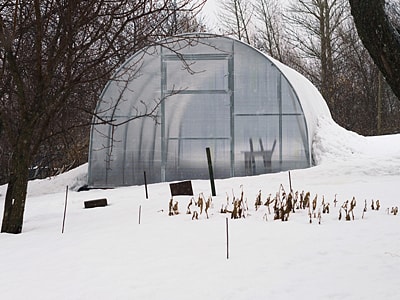 Gewächshaus im Schnee