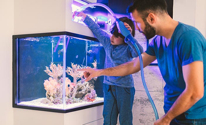 Aquarienzubehör