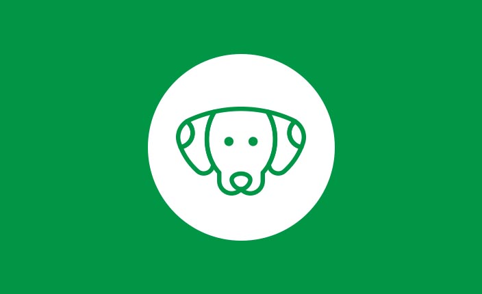 Hundebedarf-Ratgeber