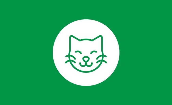 Katzenbedarf-Ratgeber