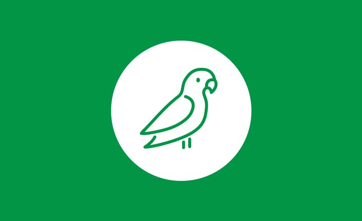 Vogelbedarf-Ratgeber