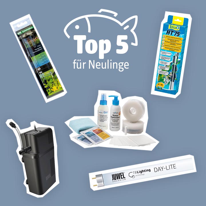 Neulinge-Aquaristik