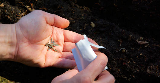 Kalkdünger in Hand