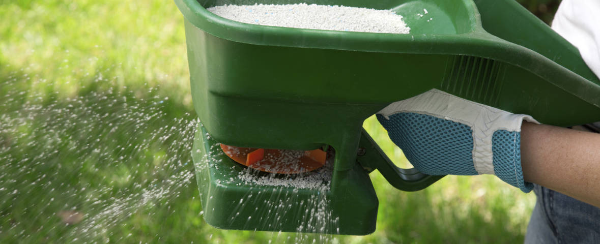 Nahaufnahme einer Hand mit Gartenhandschuh, die einen grünen Streuwagen bedient. Feine Düngerkörner werden gleichmäßig auf einer Rasenfläche verteilt
