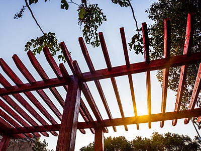 Blick nach oben auf eine rot gestrichene Holzpergola bei Sonnenuntergang. Die Sonne scheint durch die Lamellen, im Hintergrund sind Baumwipfel und blauer Himmel zu sehen.
