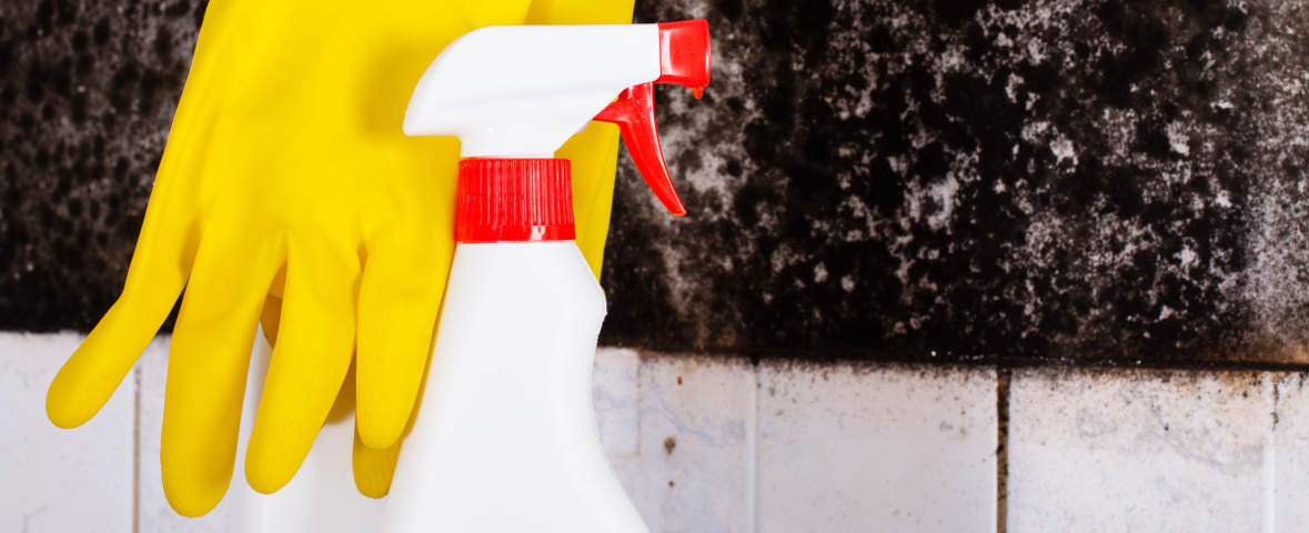 Gelbe Gummihandschuhe und eine Sprühflasche vor einer mit schwarzem Schimmel befallenen Badezimmerwand