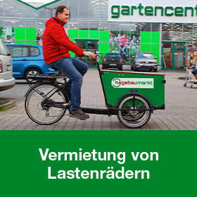 Lastenfahrrad